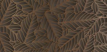 ALISMA by Creative Space - view 2