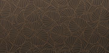 TYPHA by Creative Space - view 2