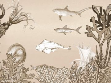 QUAL'È IL PESCE DI NOME WANDA / Art. Grey by AGENA - view 4