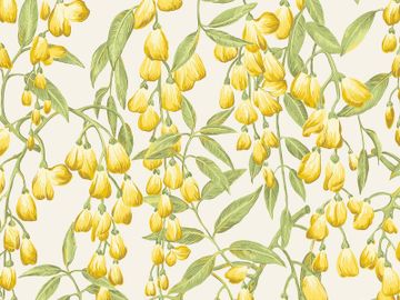 WISTERIA BLOOM / Art. Lavender by AGENA - view 7