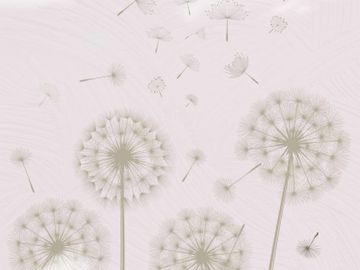 DANDELION / Art. Cold by AGENA - view 4