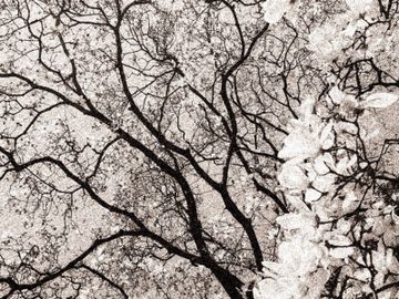 IKEBANA / Art. Warm by AGENA - view 5