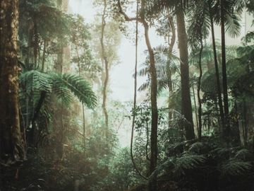 PARADISE / Art. Grey by AGENA - view 9