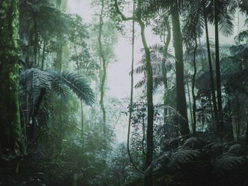 PARADISE / Art. Grey by AGENA - view 4
