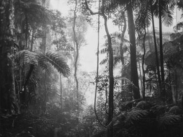 PARADISE / Art. Grey by AGENA - view 5
