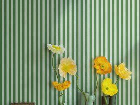 BOUDLEAIRE / Art. righe-Delicate by AGENA - view 3