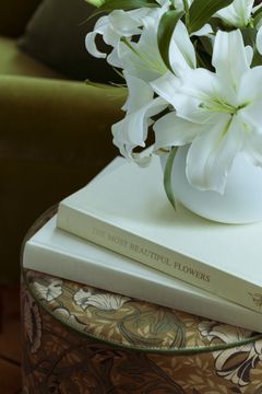 ADÈLE / Art. fiori inglesi-45 by AGENA - view 7