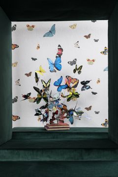 FEATHERS / Art. farfalle-Teal by AGENA - view 5