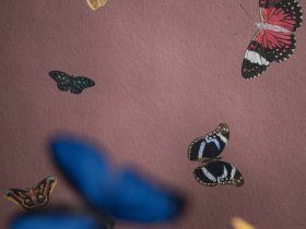 FEATHERS / Art. farfalle-Teal by AGENA - view 2