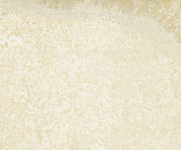 Bavaria Ivory 2Cm 50X100X2Cm by Aparici - view 2