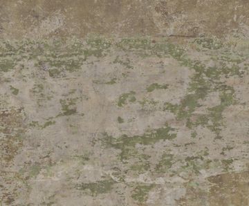 Evoke Green Natural 50X100 by Aparici - view 2