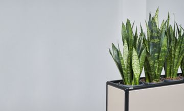 modul space mobile plant small by Bosse - view 5