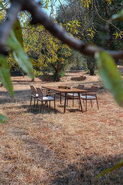 Sahara Dining Armchair by DRIGANI - view 7