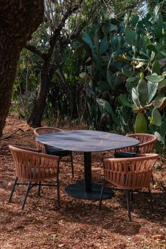 Frida Dining Armchair by DRIGANI - view 4