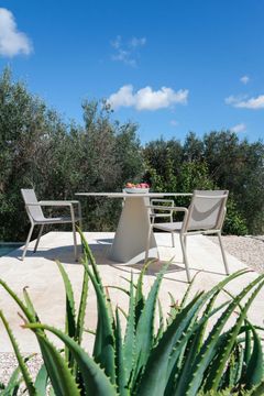 Lima Dining Armchair by DRIGANI - view 5