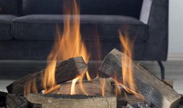 Sky Medium Front Gasfire by Element4 - view 3