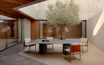 Obi dining armchair by EXPORMIM - view 4