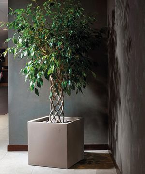Pilar - Planters for Lounge Areas by FIT INTERIORS - view 4