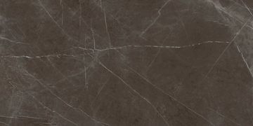 Marmi Maximum Pietra Grey by Fiandre Architectural Surfaces - view 2