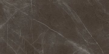 Marmi Maximum Pietra Grey by Fiandre Architectural Surfaces - view 3