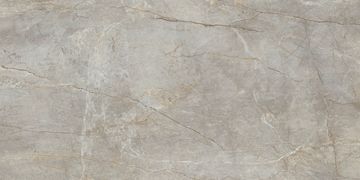 Marmi Maximum Silver Root by Fiandre Architectural Surfaces - view 2