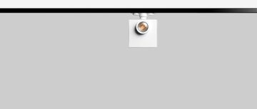 Abrahm 20 - Linear system by Flexalighting - view 2