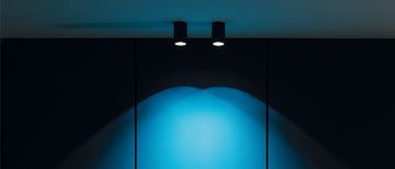 Art - Wall and celing mounted by Flexalighting - view 3