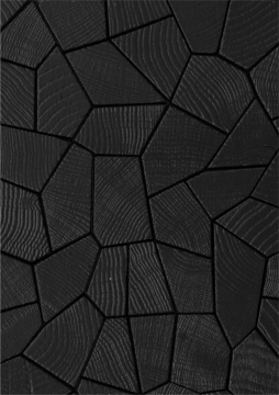 Opus Black wood flooring by OSCARONO - view 2