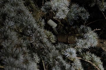 Ginko 1.0 - Outdoor projectors for enhancing green areas by L&L Luce&Light - view 2