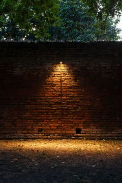 Ginko 4.0 - Outdoor projectors for enhancing green areas by L&L Luce&Light - view 5