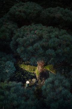Ginko 4.3 - Outdoor projectors for enhancing green areas by L&L Luce&Light - view 8