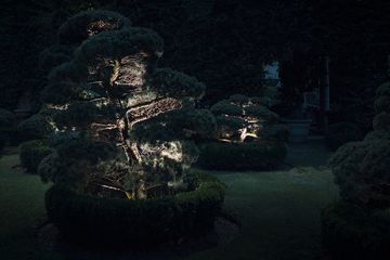 Ginko 2.0 - Outdoor projectors for enhancing green areas by L&L Luce&Light - view 5