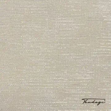 TS 3019 – Curtain fabric by Tendagi® - view 6