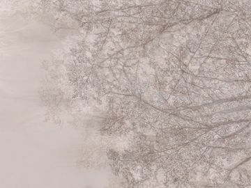 Project Z40539-2 by Zambaiti Contract - view 3