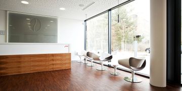 Perillo Lounge Chair by ZÜCO - view 7