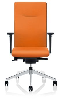 Cubo Classic Office Chair by ZÜCO - view 6