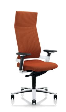 Lacinta Office Chair by ZÜCO - view 9