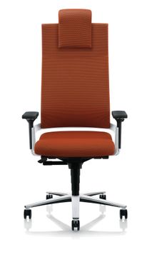 Lacinta Office Chair by ZÜCO - view 2