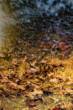 Cosima Outdoor light by ZAVA - view 4