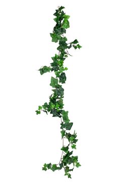 Ivy Garland by AM Acoustics