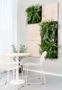 Flora Panel by AM Acoustics