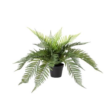 Fern, 35 cm by AM Acoustics