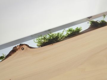 TRAIL Console by Alcarol - view 3