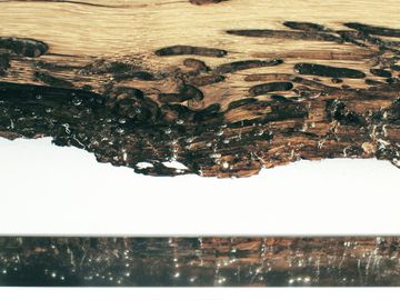CHIMENTI Table by Alcarol - view 7