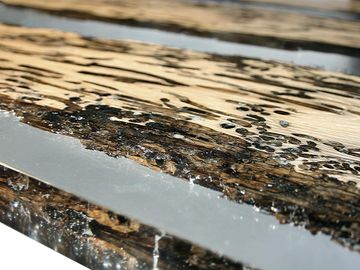 CHIMENTI Table by Alcarol - view 3