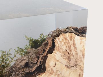 STUMP Side Table - Poplar by Alcarol - view 7