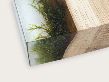 WOODPILE Shelving by Alcarol - view 4