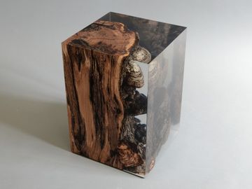 FUNGI Stool by Alcarol - view 5