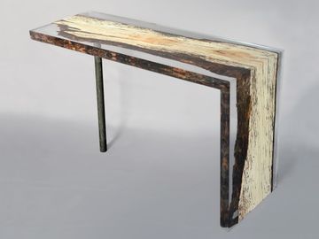 FUNGI Console by Alcarol - view 9