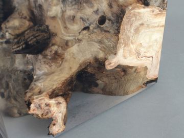 FUNGI Stool by Alcarol - view 8
